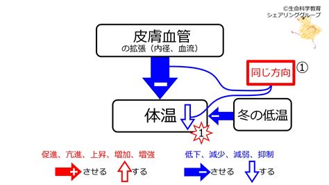 調節作用